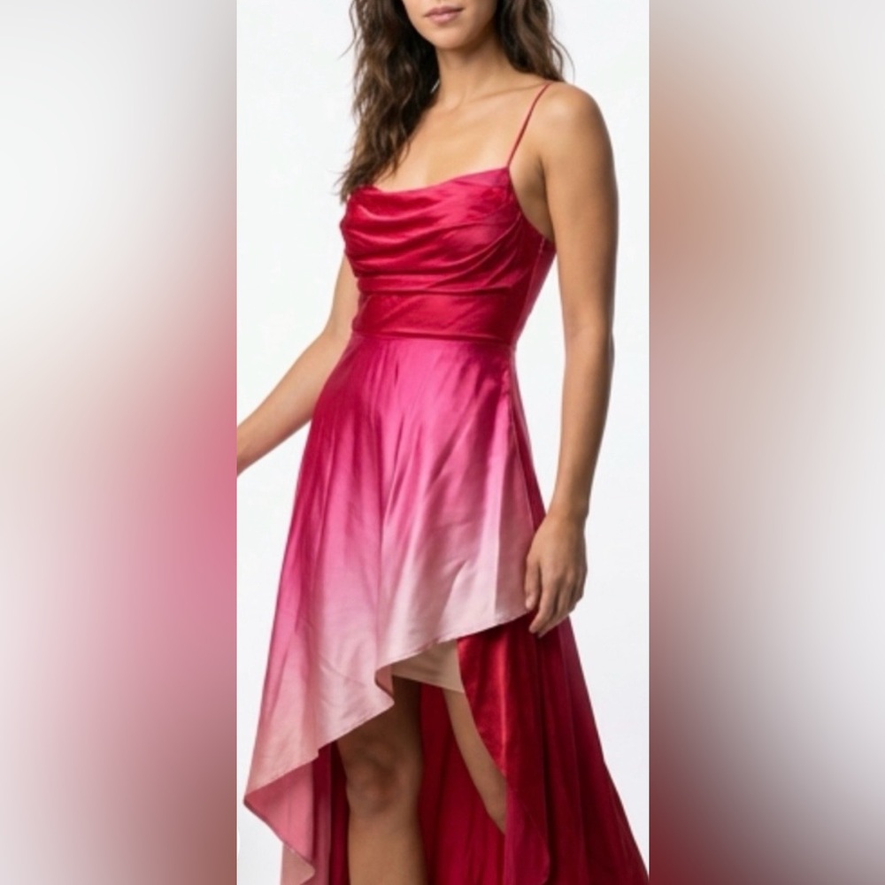Ombre Pink Silk High-Low Dress with Cowl Neck Over Bustier